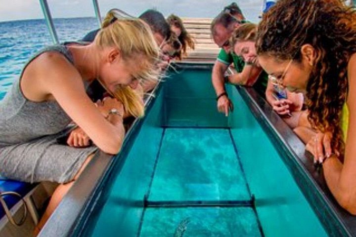 Montego Bay Tours
