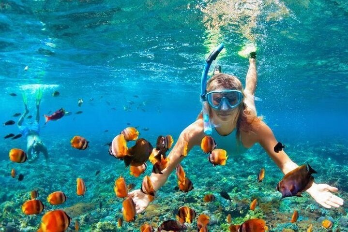 Jamaica Shore Excursions