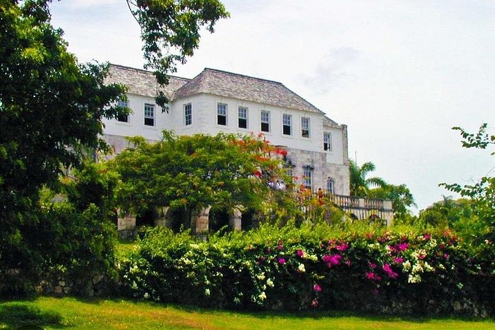 Luminous Lagoon Jamaica Tour